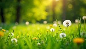 Галерея проекта 1